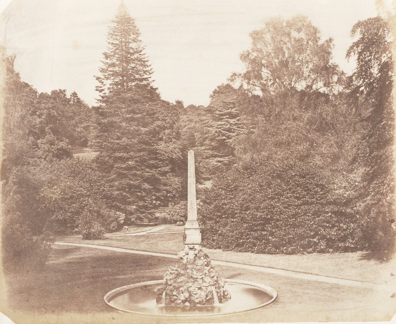 Nel giardino. Blenheim da James Knight