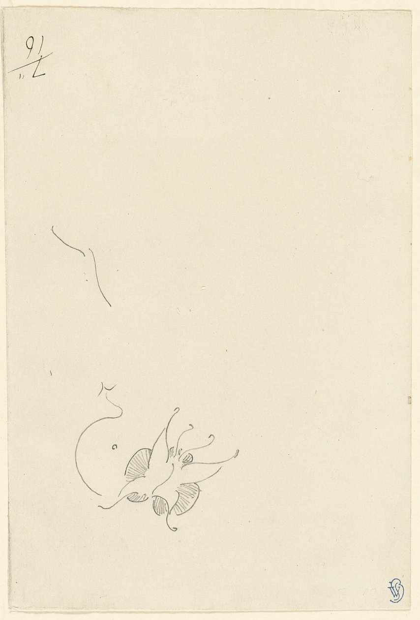 Farfalla da James Abbott McNeill Whistler