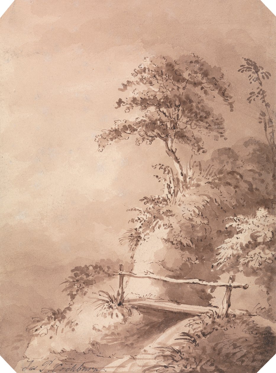 Ponte pedonale su un ruscello collinare da James Pattison Cockburn