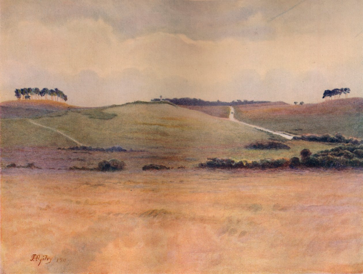 Chobham Common, 1911, 1914 da James S Ogilvy