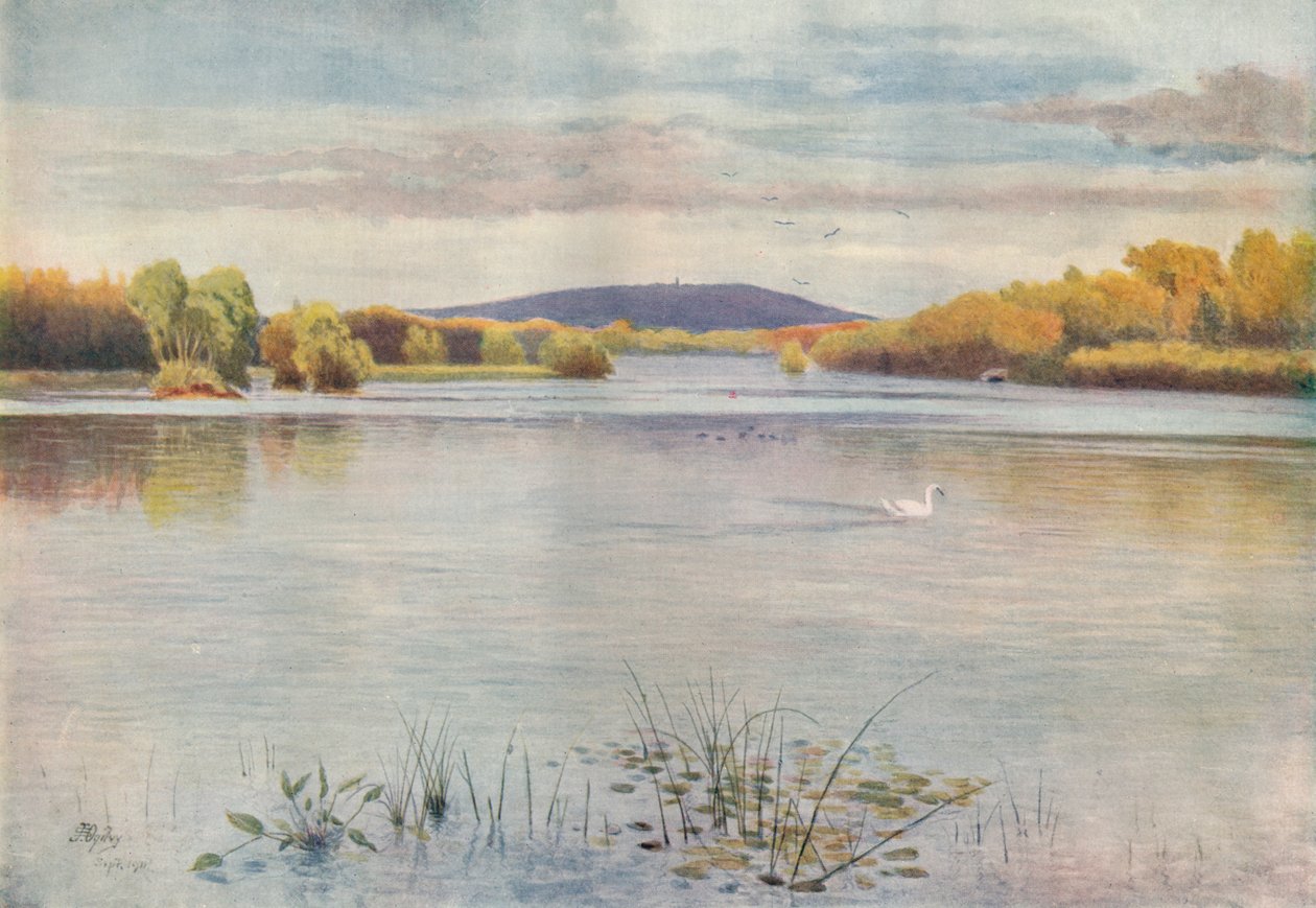 Vachery Pond da James S Ogilvy