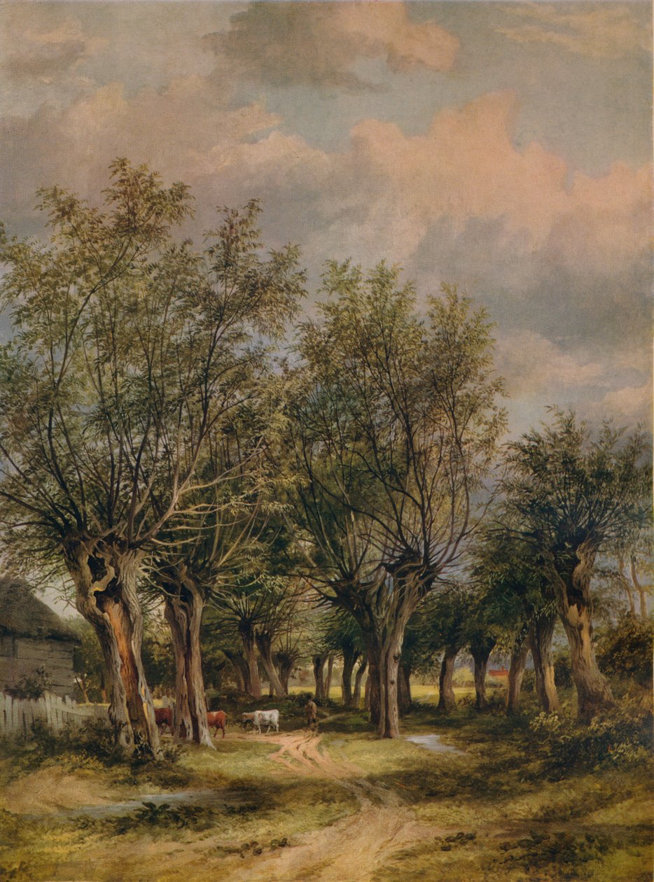 Un sentiero vicino a Norwich, c1837 da James Stark