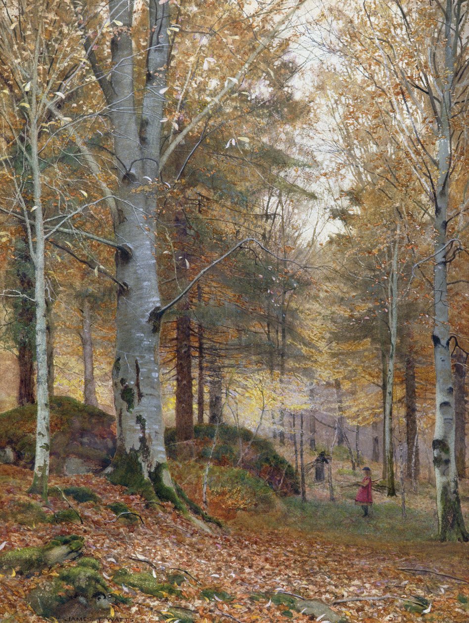 Autunno nel bosco da James Thomas Watts
