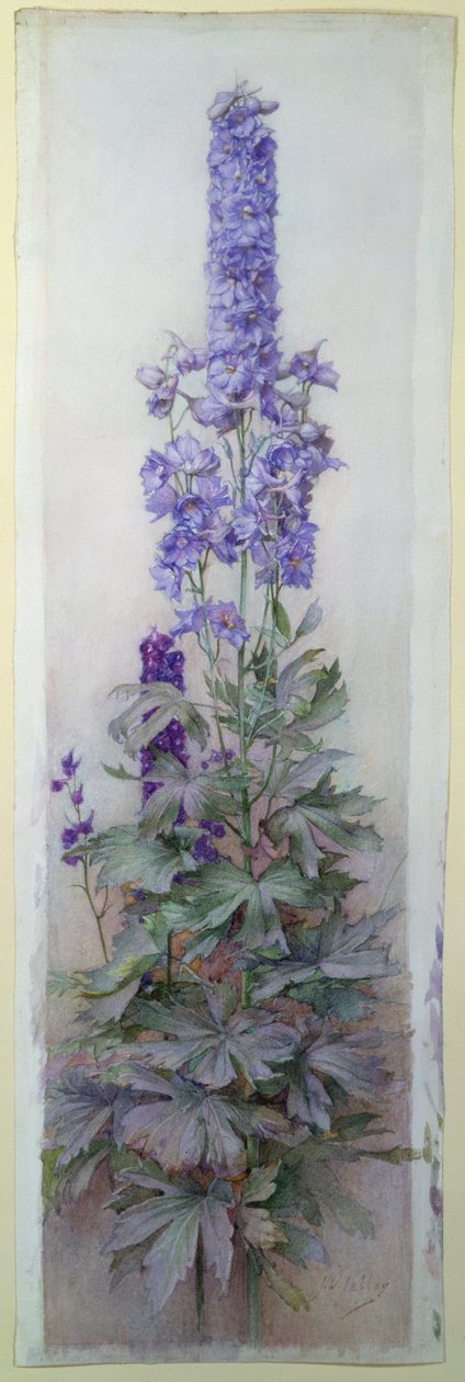 Delphinium da James Valentine Jelley