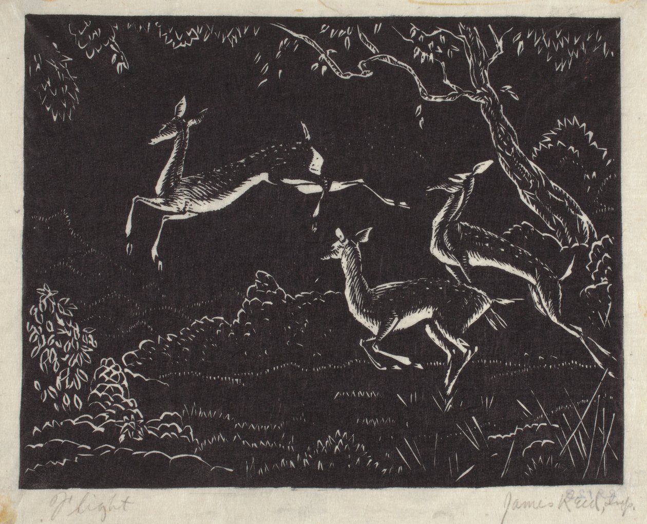 Volo da James W. Reid