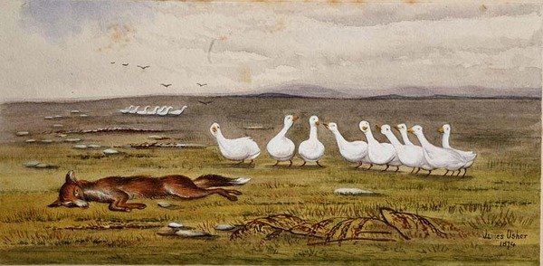 Un gioco di volpe e oche da James W. Usher