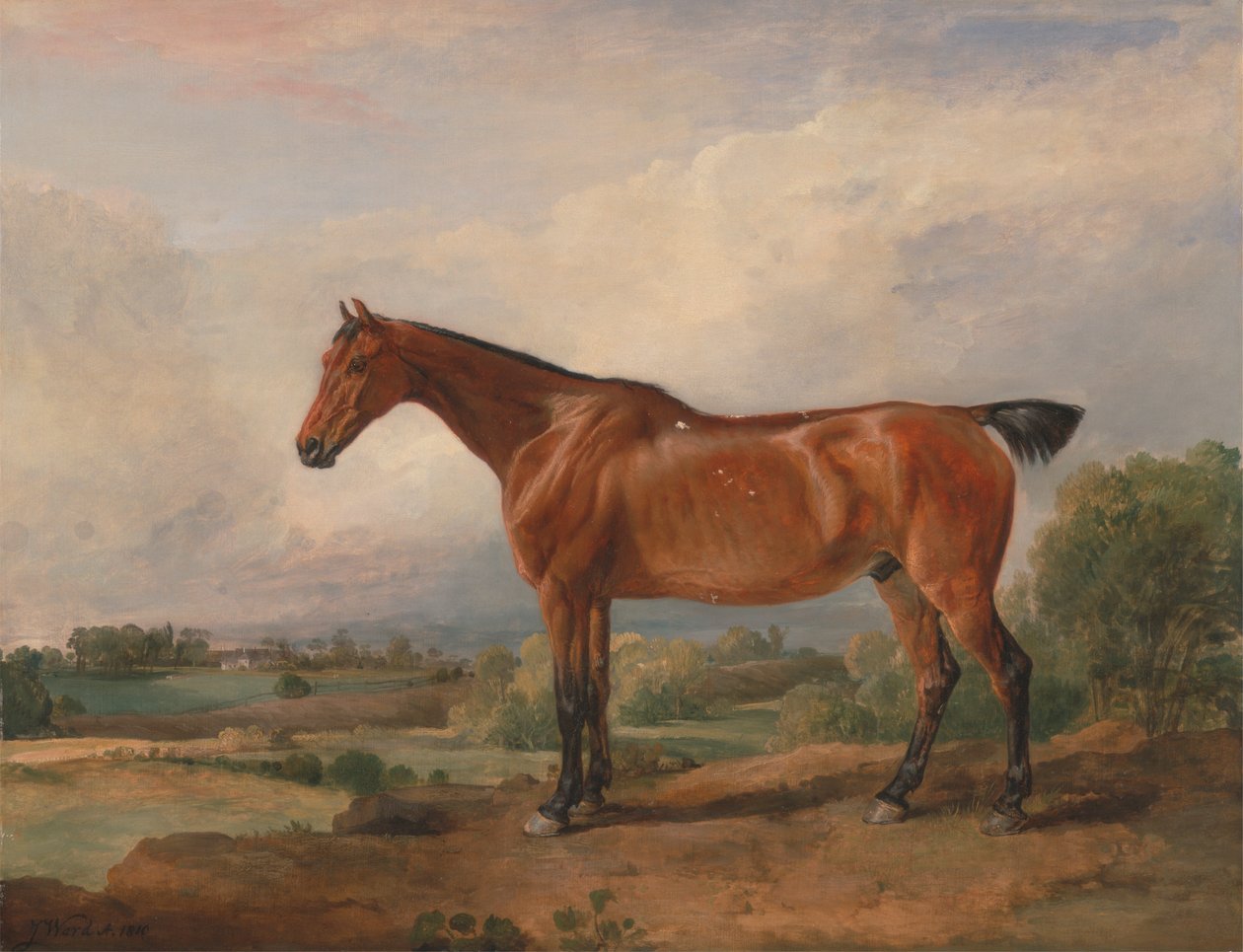 Un Cacciatore in un Paesaggio da James Ward