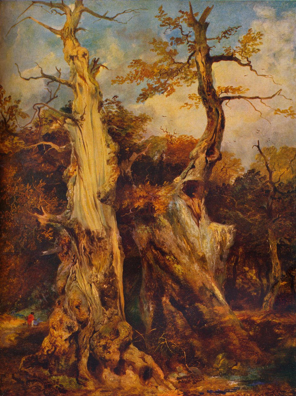 Nella foresta da James Ward