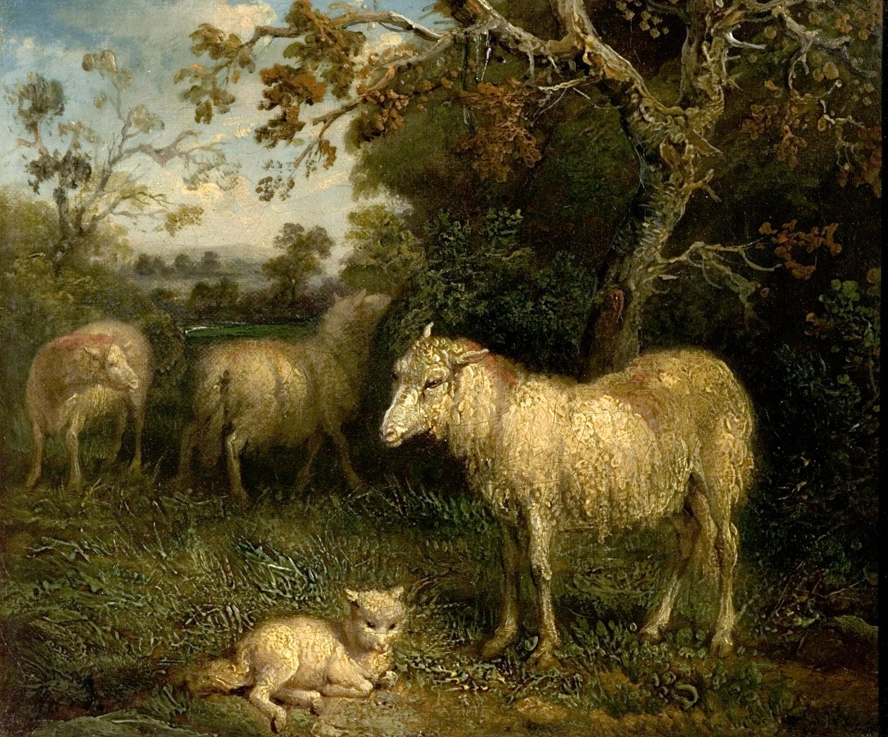 Paesaggio con pecore da James Ward