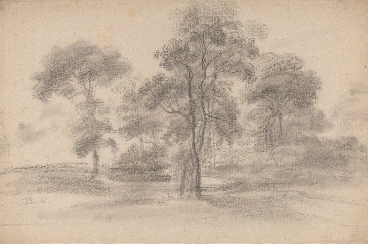 Paesaggio con alberi da James Ward
