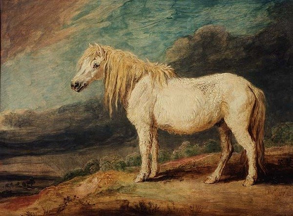 Pony delle Shetland da James Ward