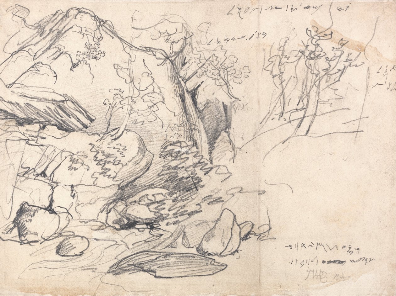 Studio di una montagna con alberi da James Ward