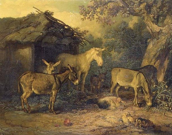 Immagine sconosciuta da James Ward