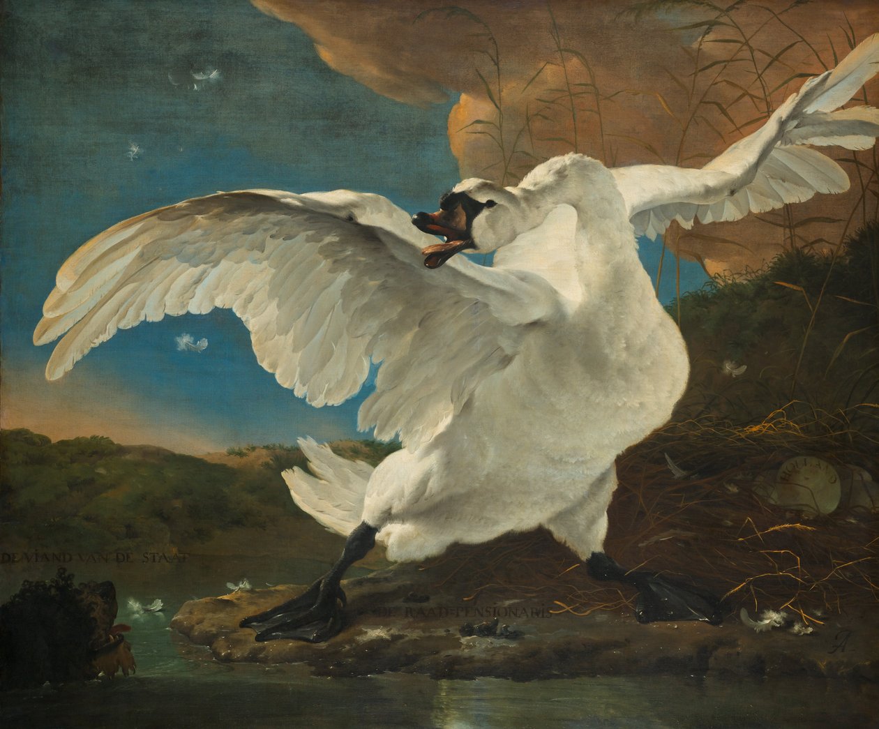 Il Cigno Minacciato; in seguito interpretato come allegoria su Johan de Witt da Jan Asselijn