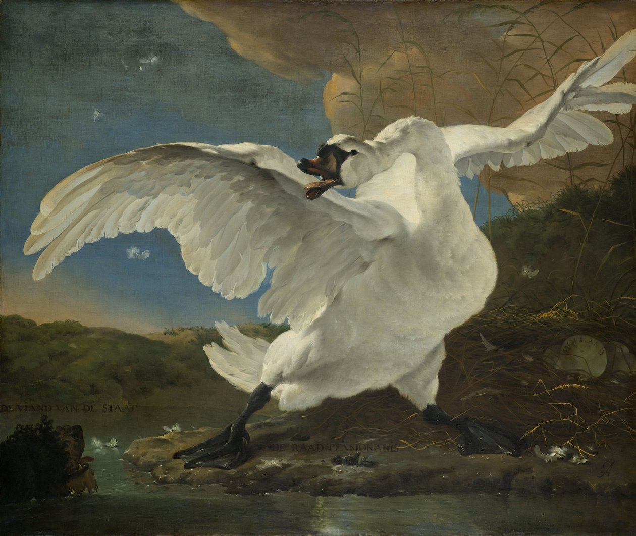 Il cigno minacciato da Jan Asselijn