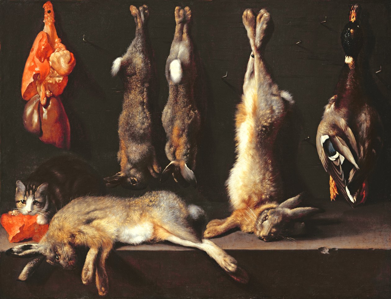 Natura morta, selvaggina da Jan Baptist Weenix