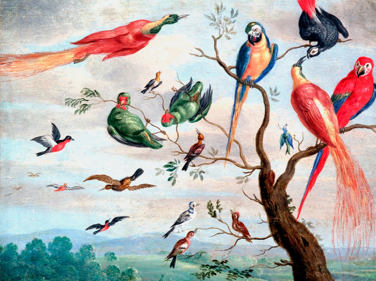 Il coro degli uccelli, c.1650-1675 da Jan Thomasz. van Kessel