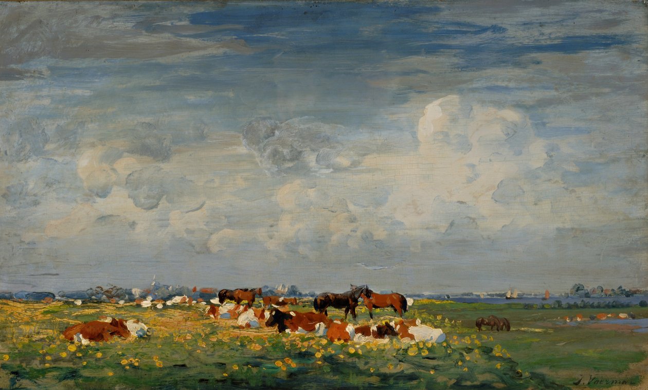 Paesaggio estivo dei prati sull