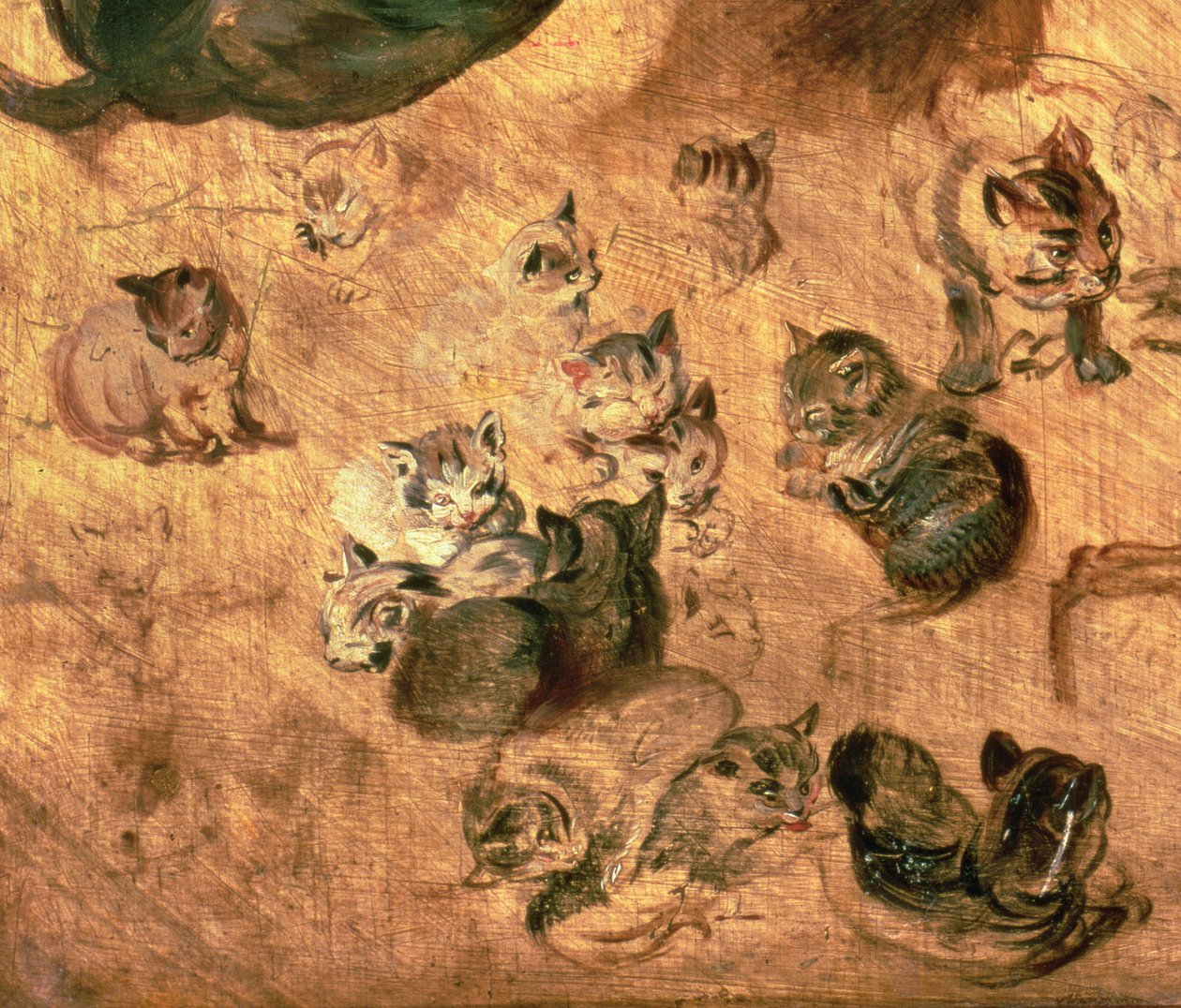 Studio di gatti, 1616 (dettaglio) da Jan the Elder Brueghel