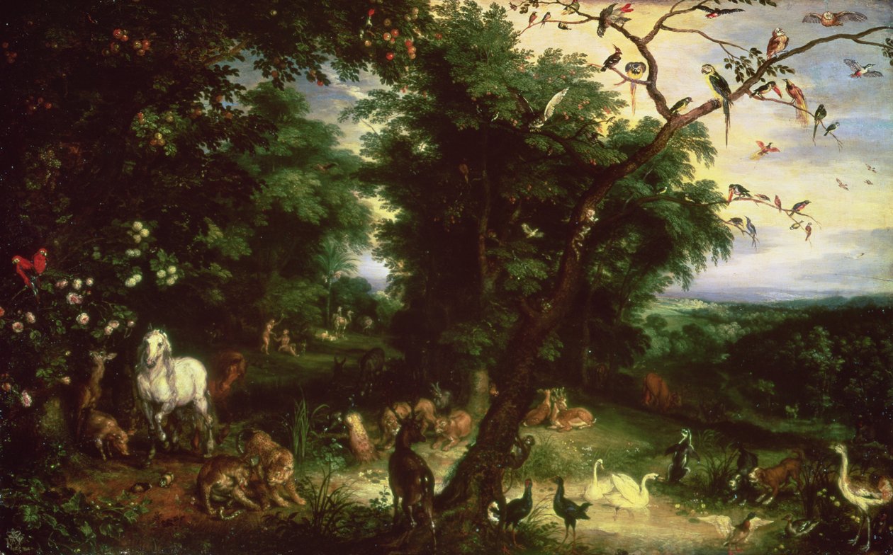 La caduta dell