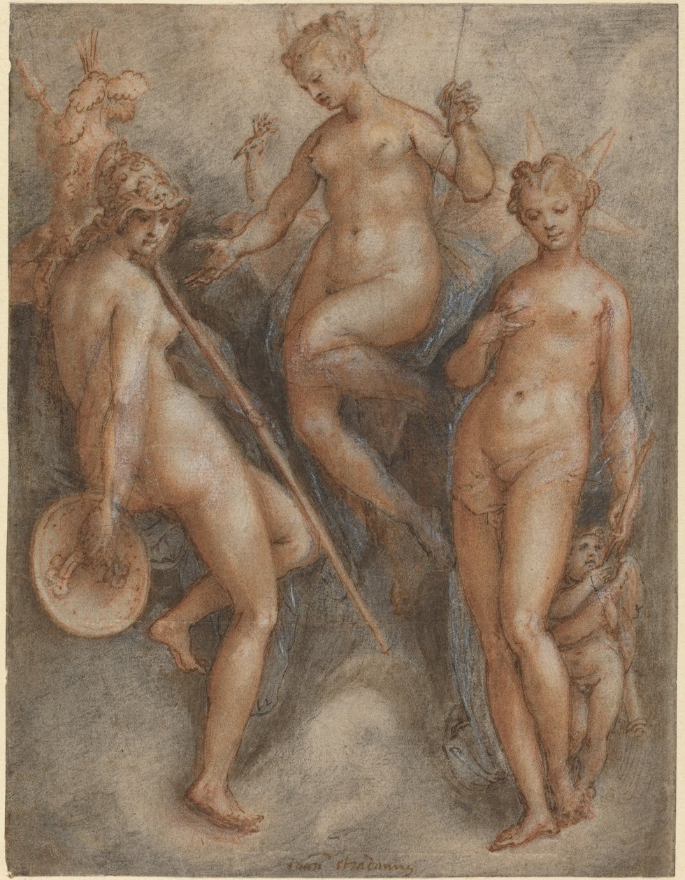Minerva, Giunone e Venere da Jan van der Straet