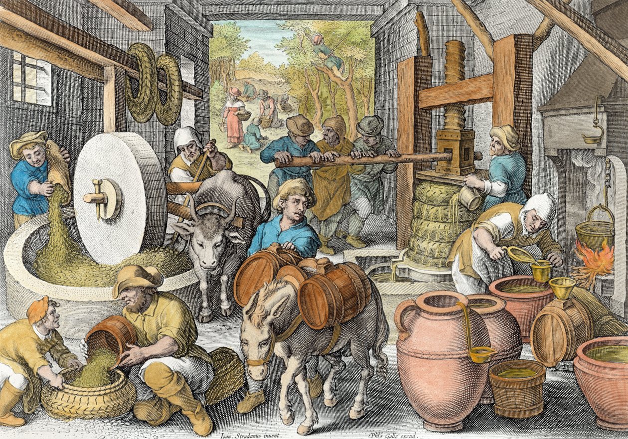 La produzione di olio d