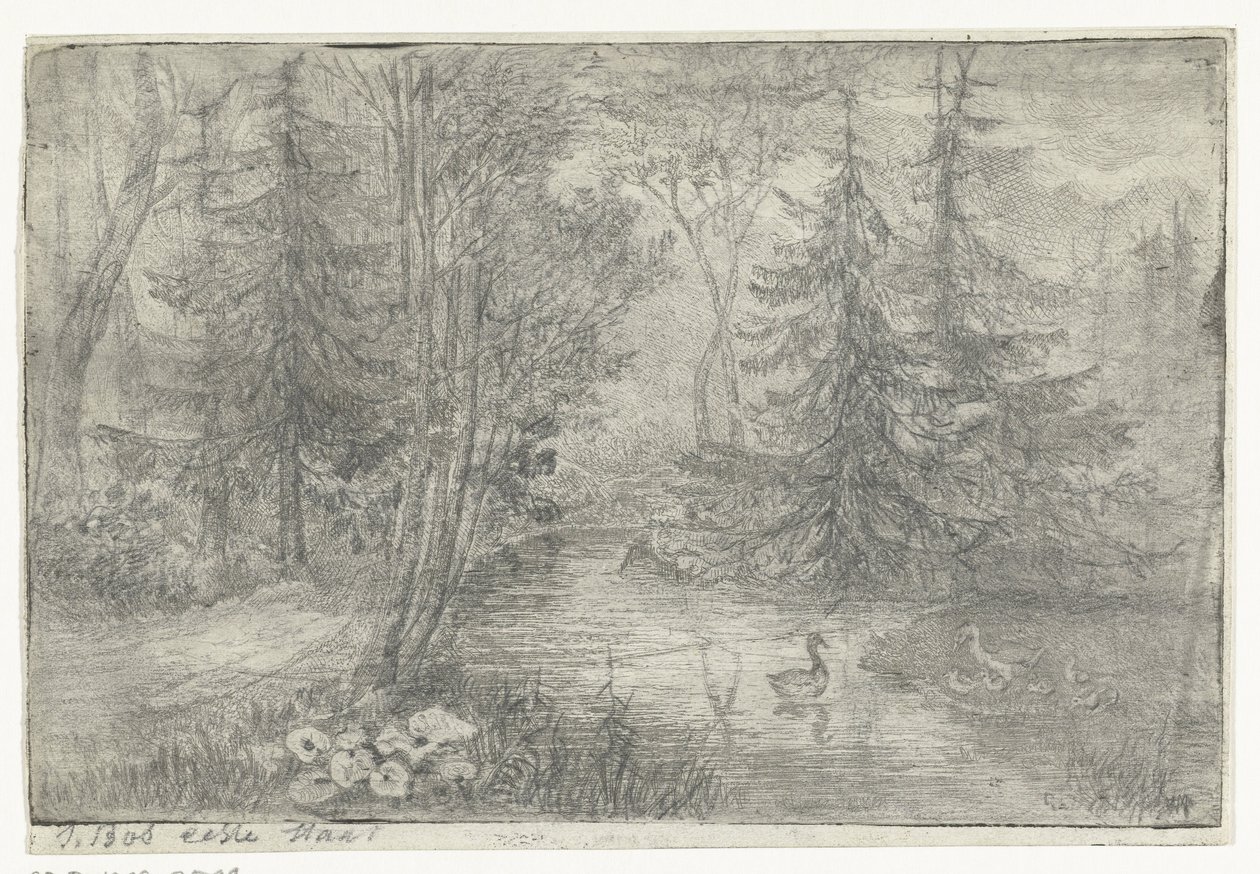 Stagno nel bosco con anatre da Jan Bos Wz. (signed by artist)