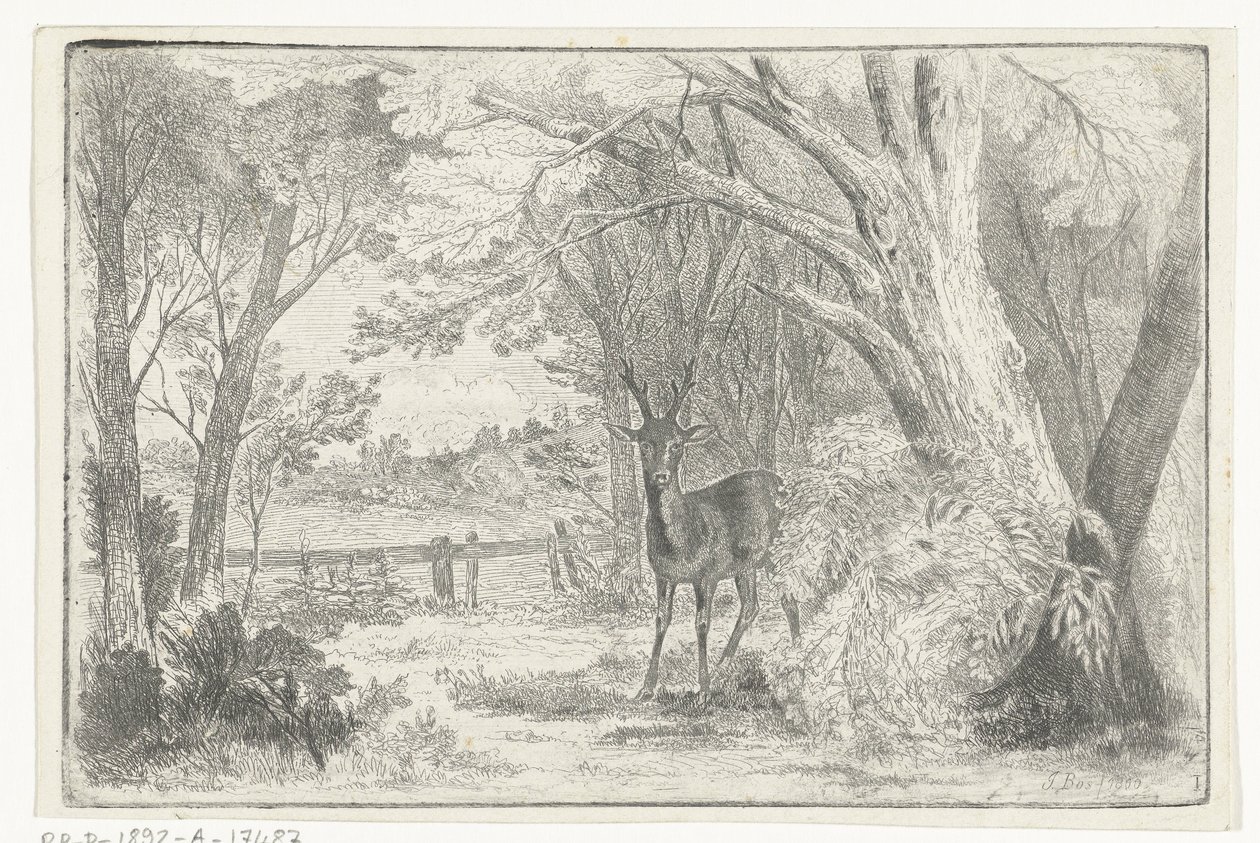 Paesaggio di parco con cervo da Jan Bos Wz.