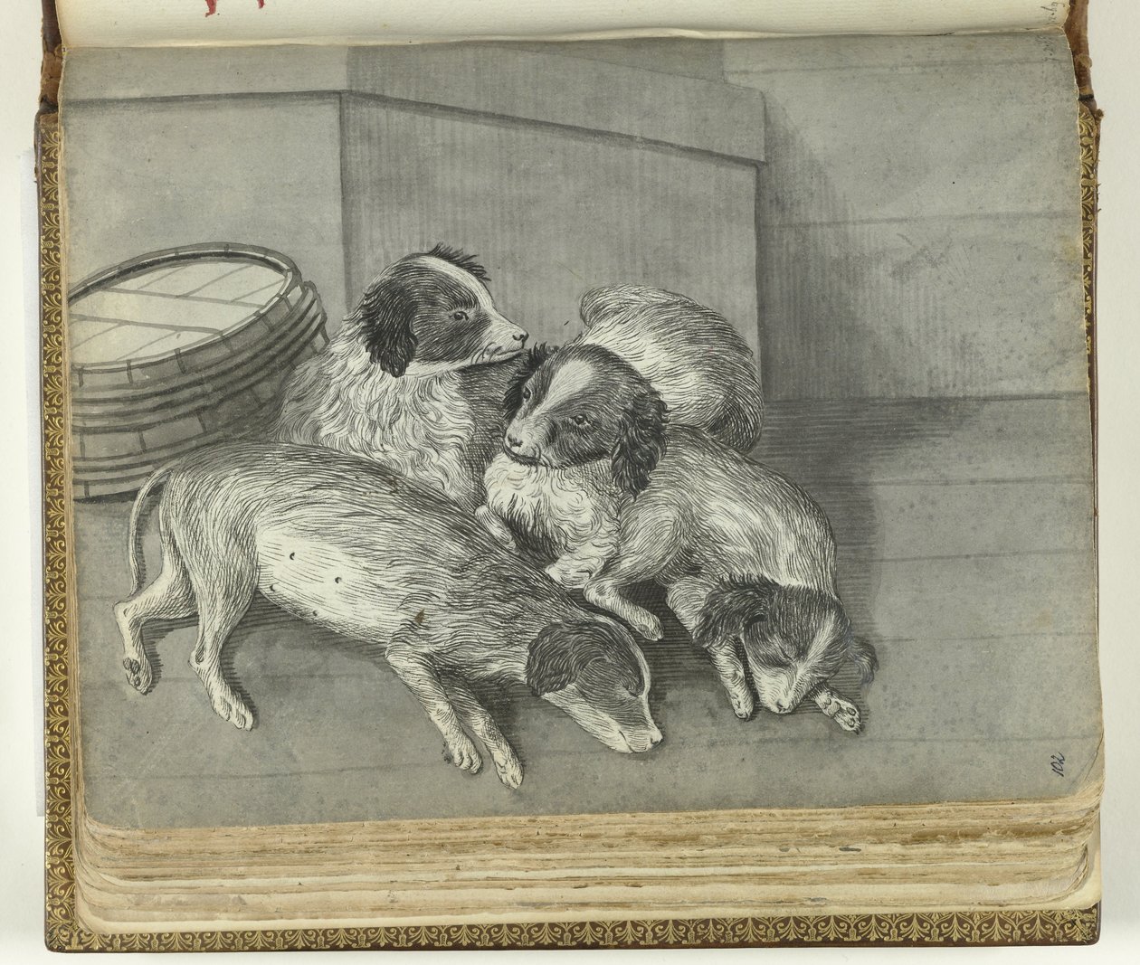 Cani da Jan Brandes