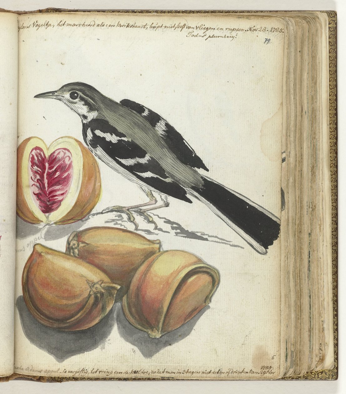 Ballerina con frutta da Jan Brandes