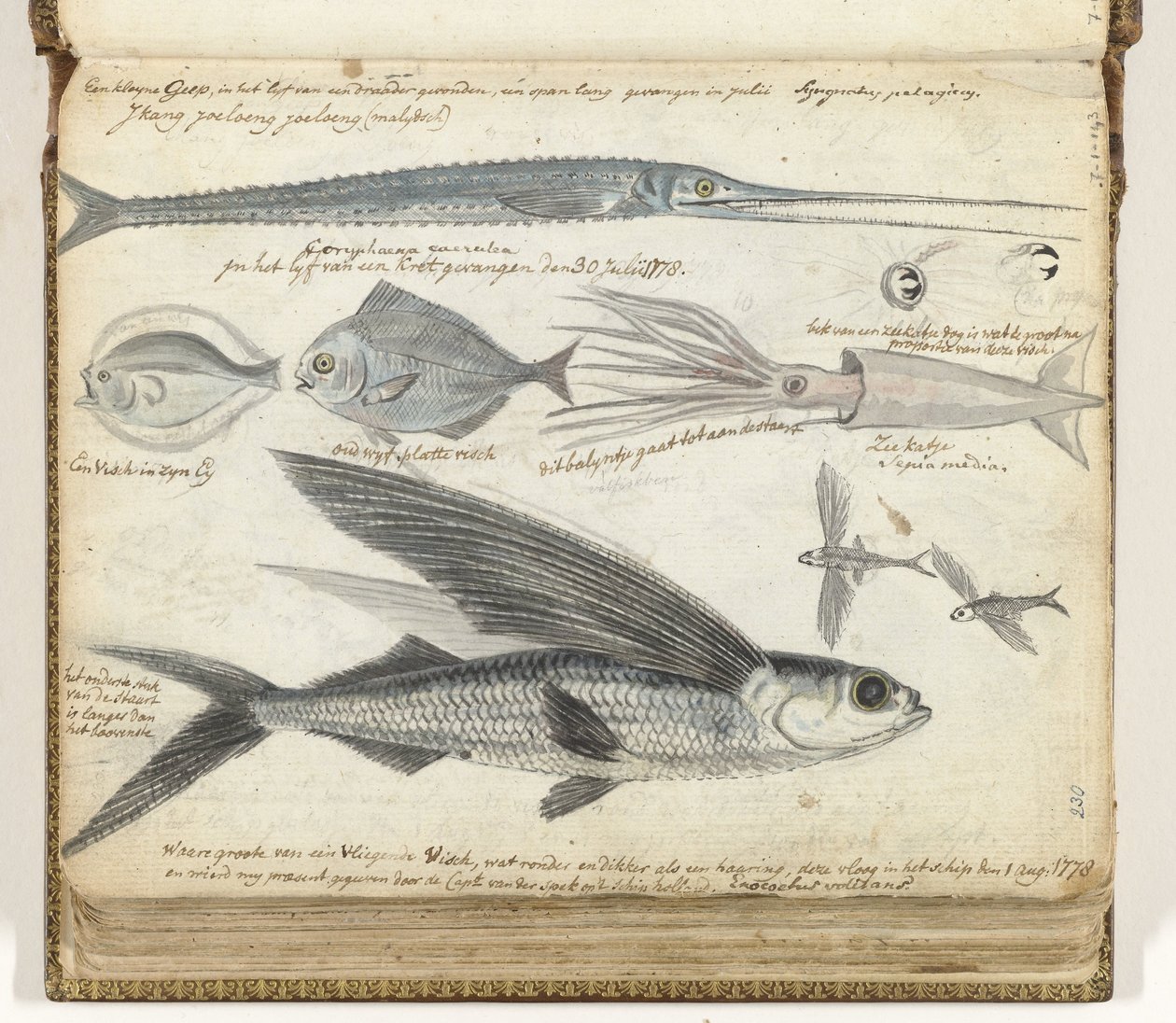 Pesca in mare da Jan Brandes