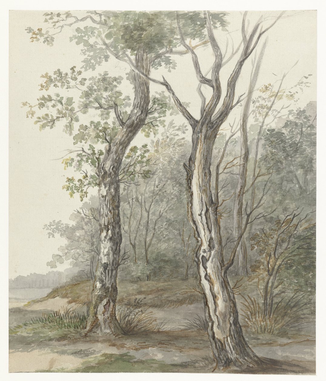 Paesaggio boschivo da Jan Dasveldt
