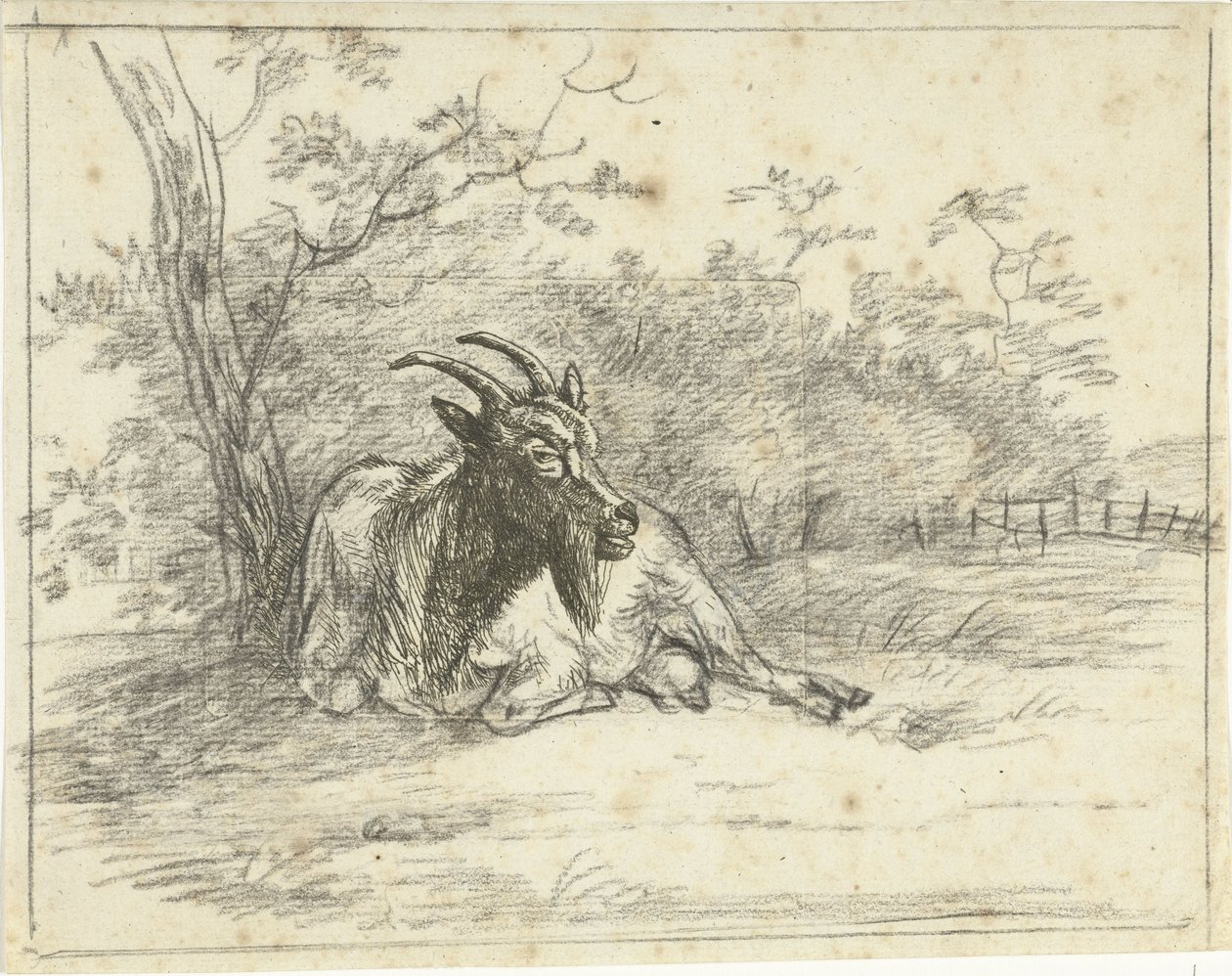 Capra sdraiata da Jan Dasveldt