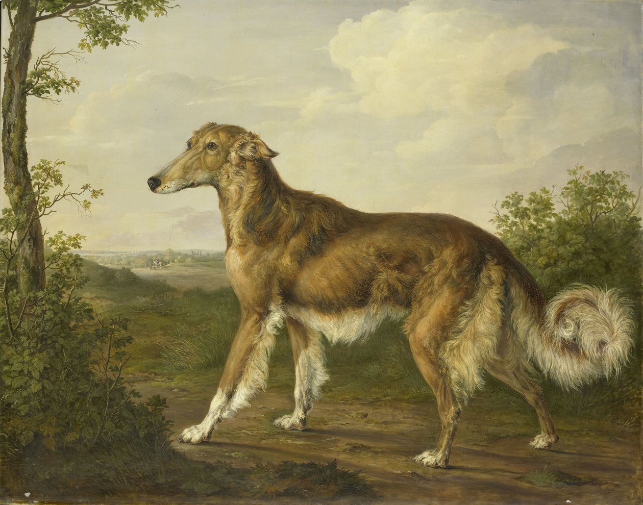 Levriero siberiano da Jan Dasveldt