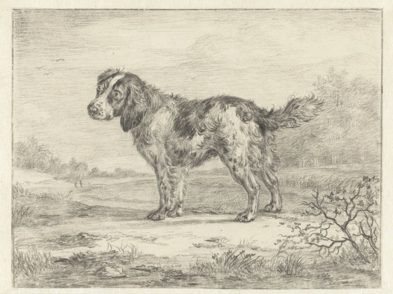 Spaniel in piedi in un paesaggio da Jan Dasveldt