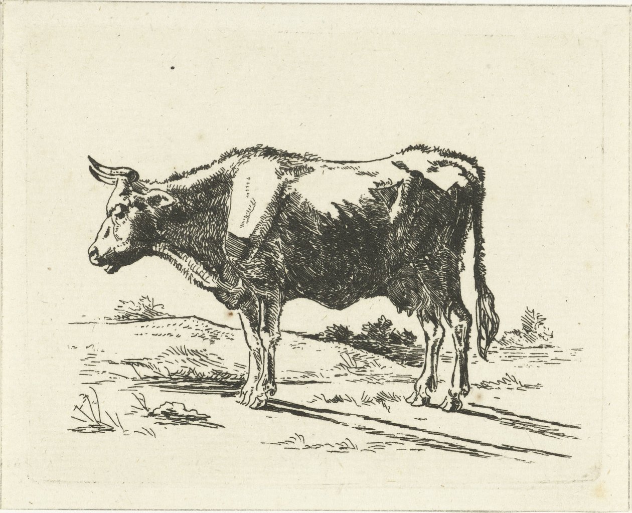 Mucca in piedi da Jan Dasveldt