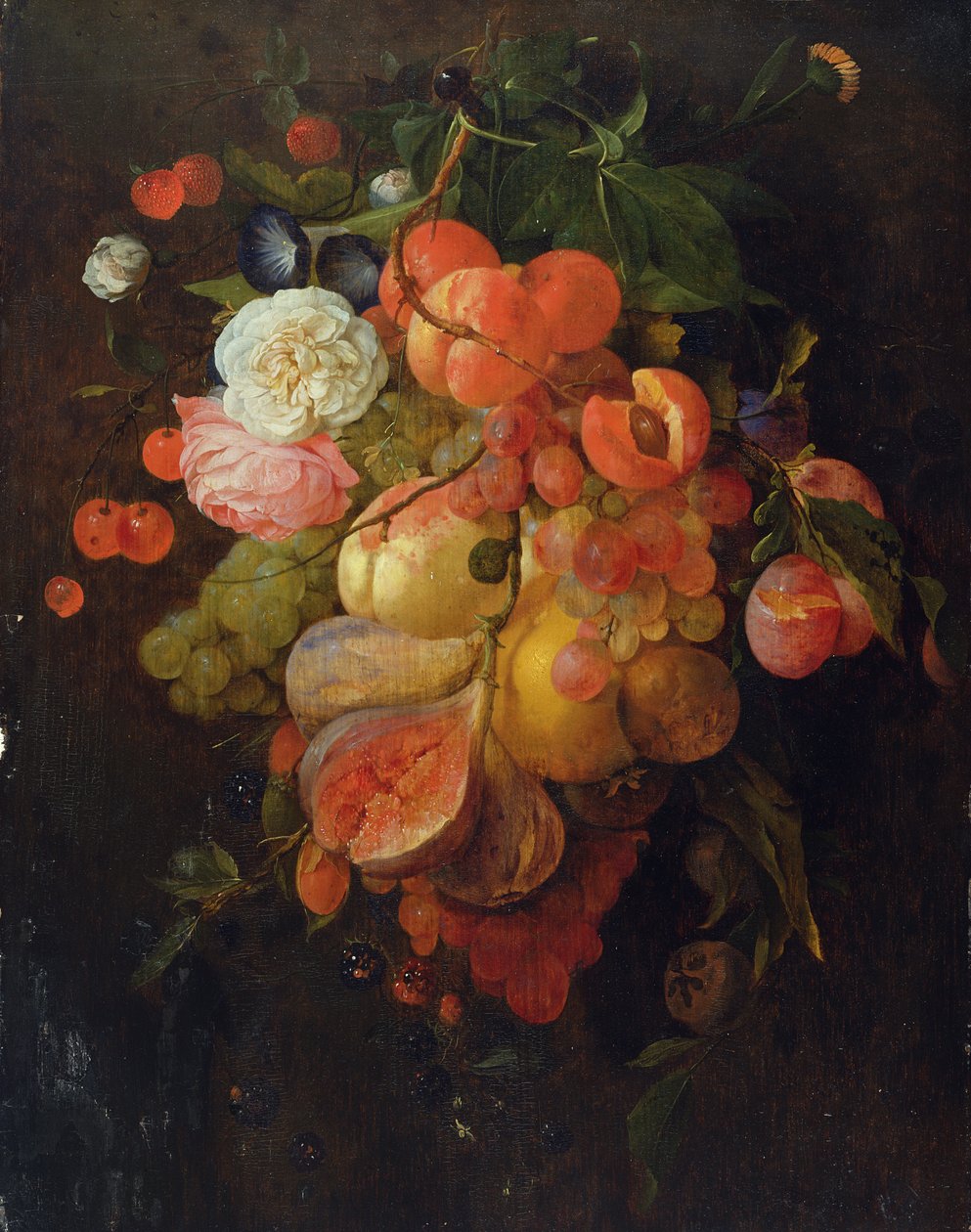 Frutta e Fiori da Jan Davidsz de Heem