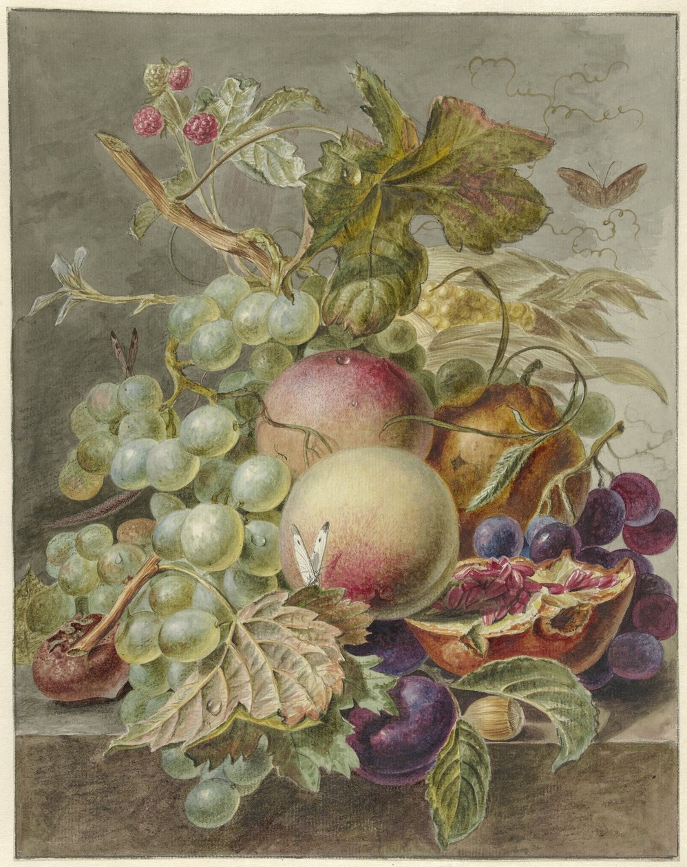 Natura morta con frutti da Jan Evert Morel (I)