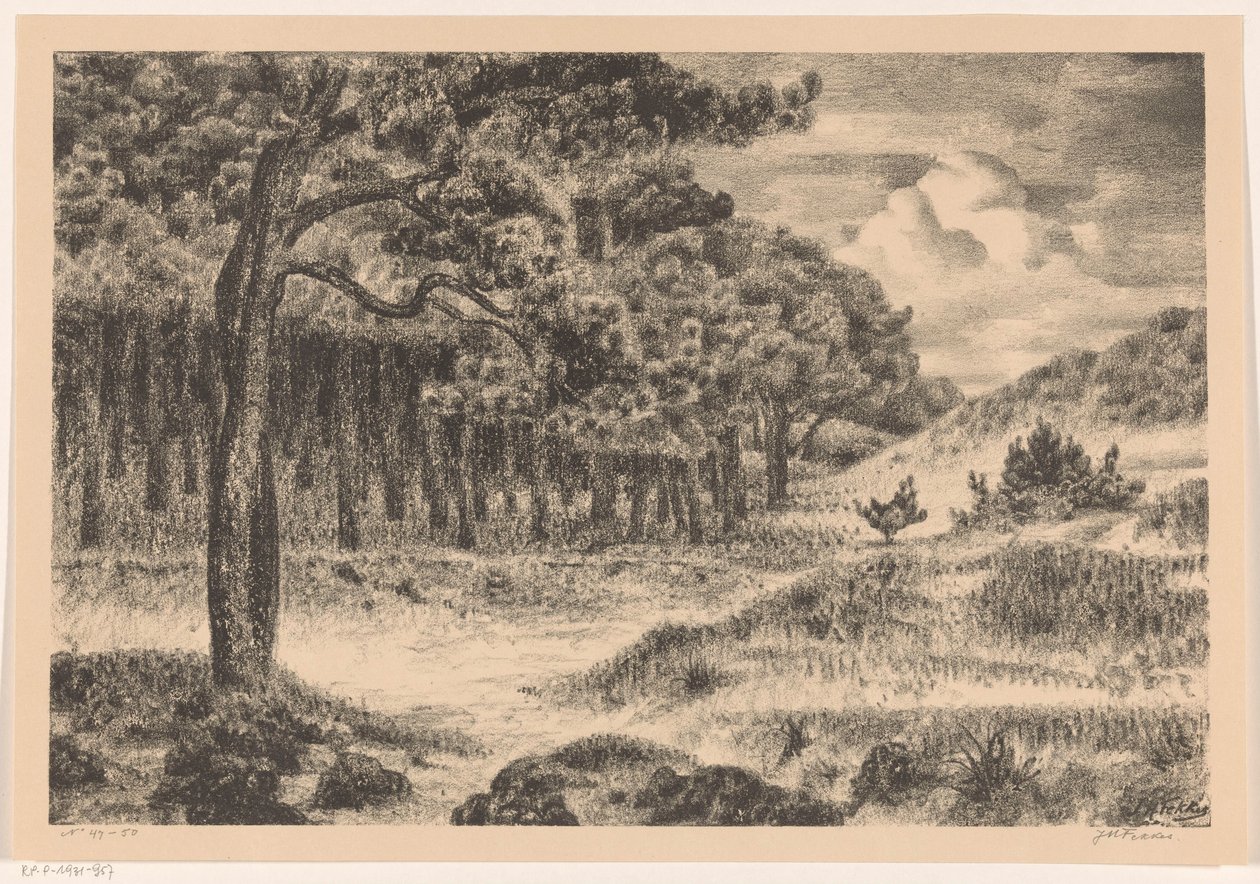 Bosco in un paesaggio collinare da Jan Fekkes (signed by artist)