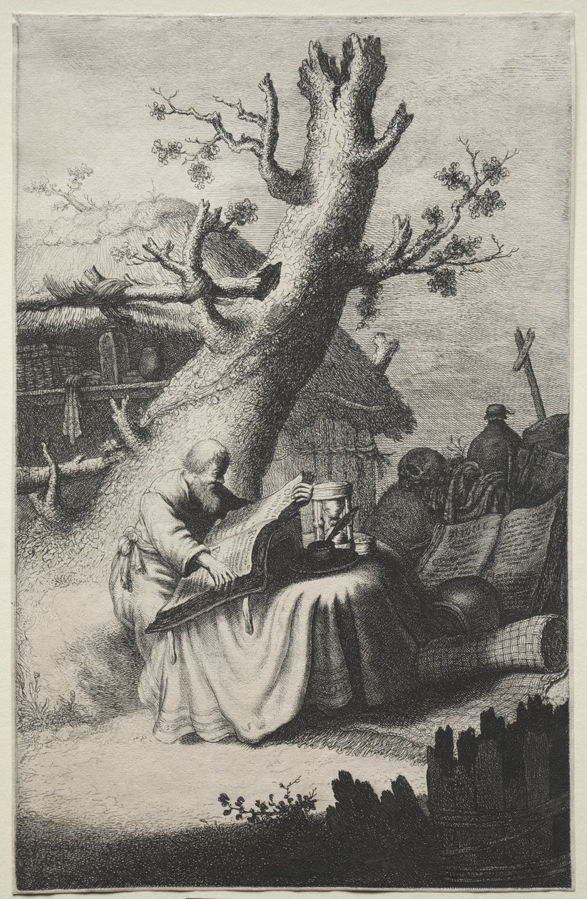 San Girolamo da Jan Georg van Vliet