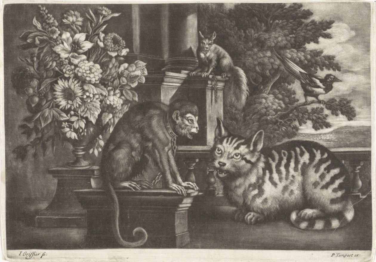 Scimmia, gatto, scoiattolo e gazza da Jan Griffier (I)