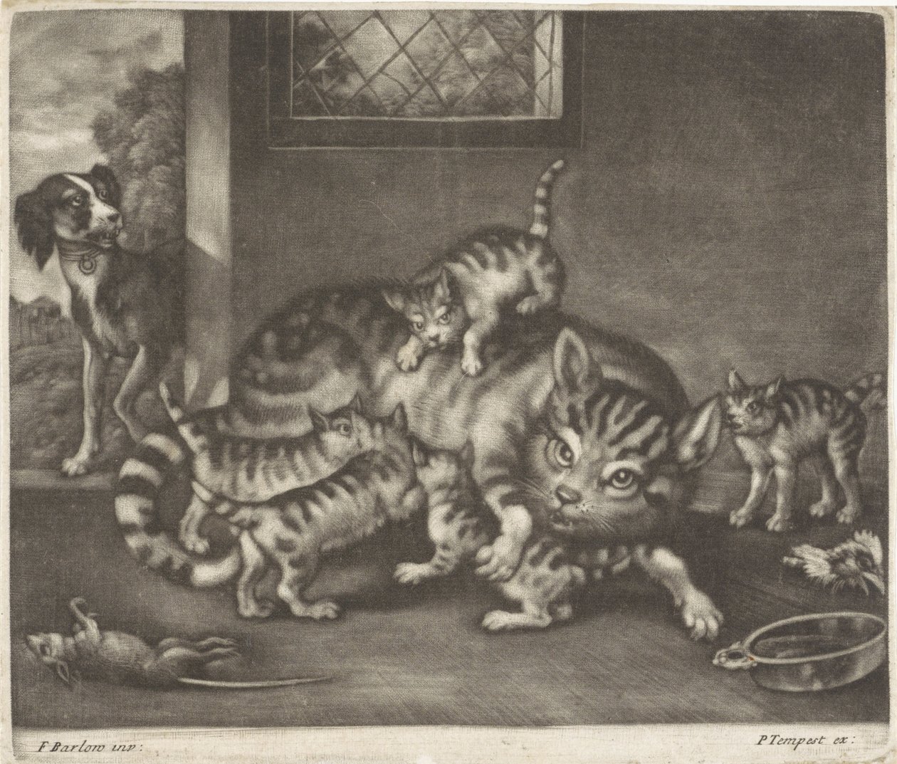 Gatto con cinque cuccioli da Jan Griffier (I)