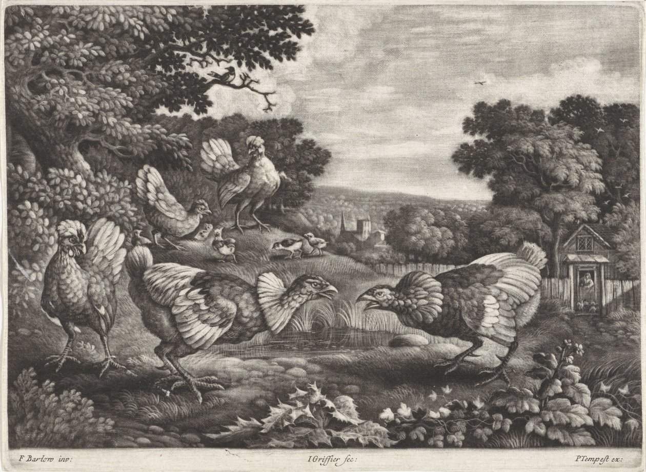 Galline che combattono da Jan Griffier (I)