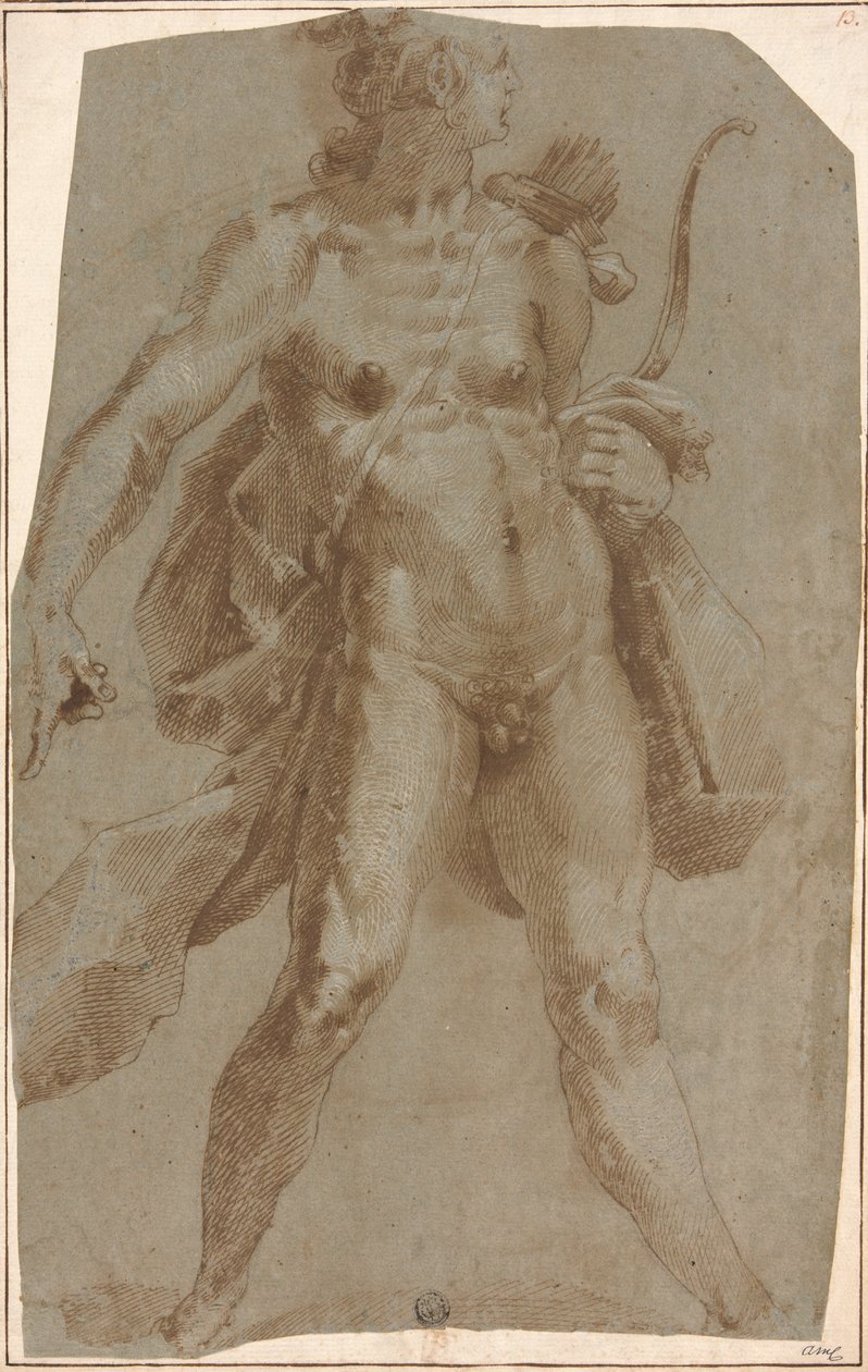 Apollo da Jan Harmensz. Muller