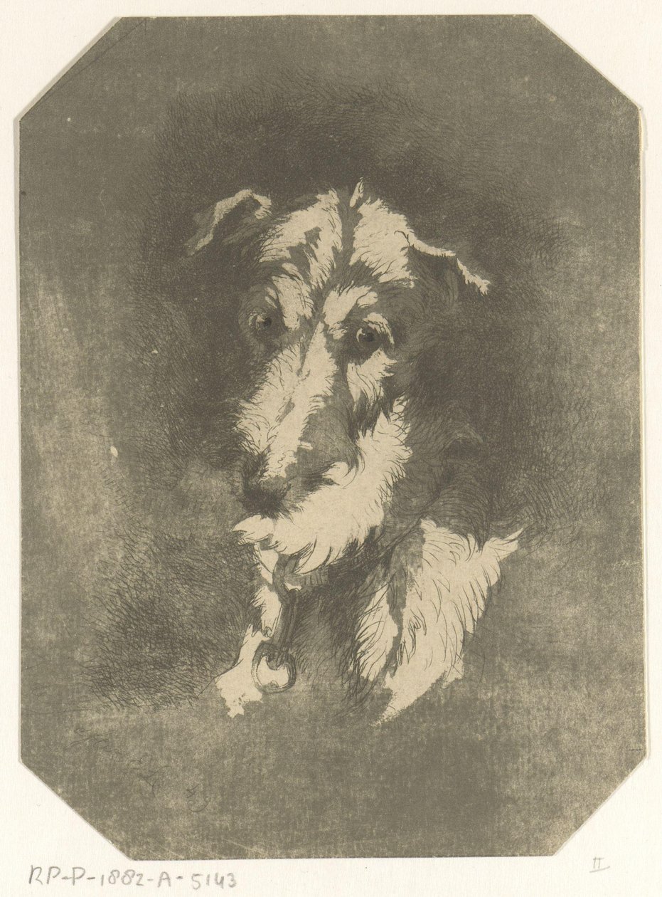 Testa di levriero da Jan Karel Jacob de Jonge