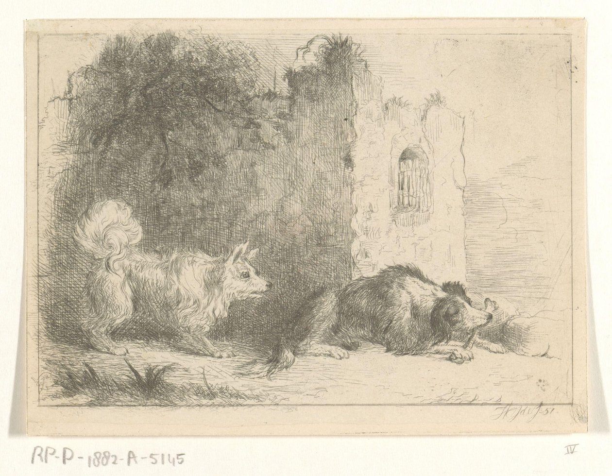 Due cani da Jan Karel Jacob de Jonge