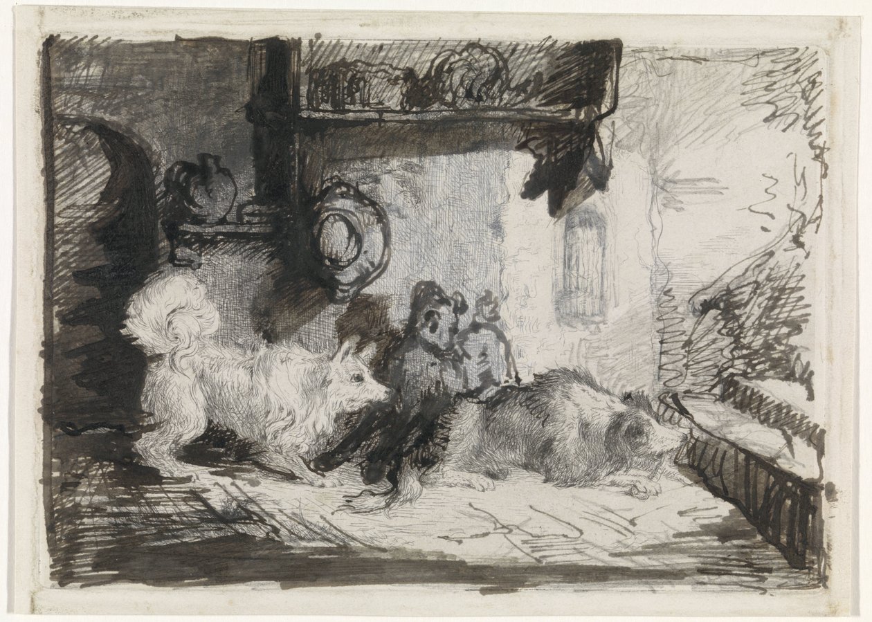 Due cani da Jan Karel Jacob de Jonge
