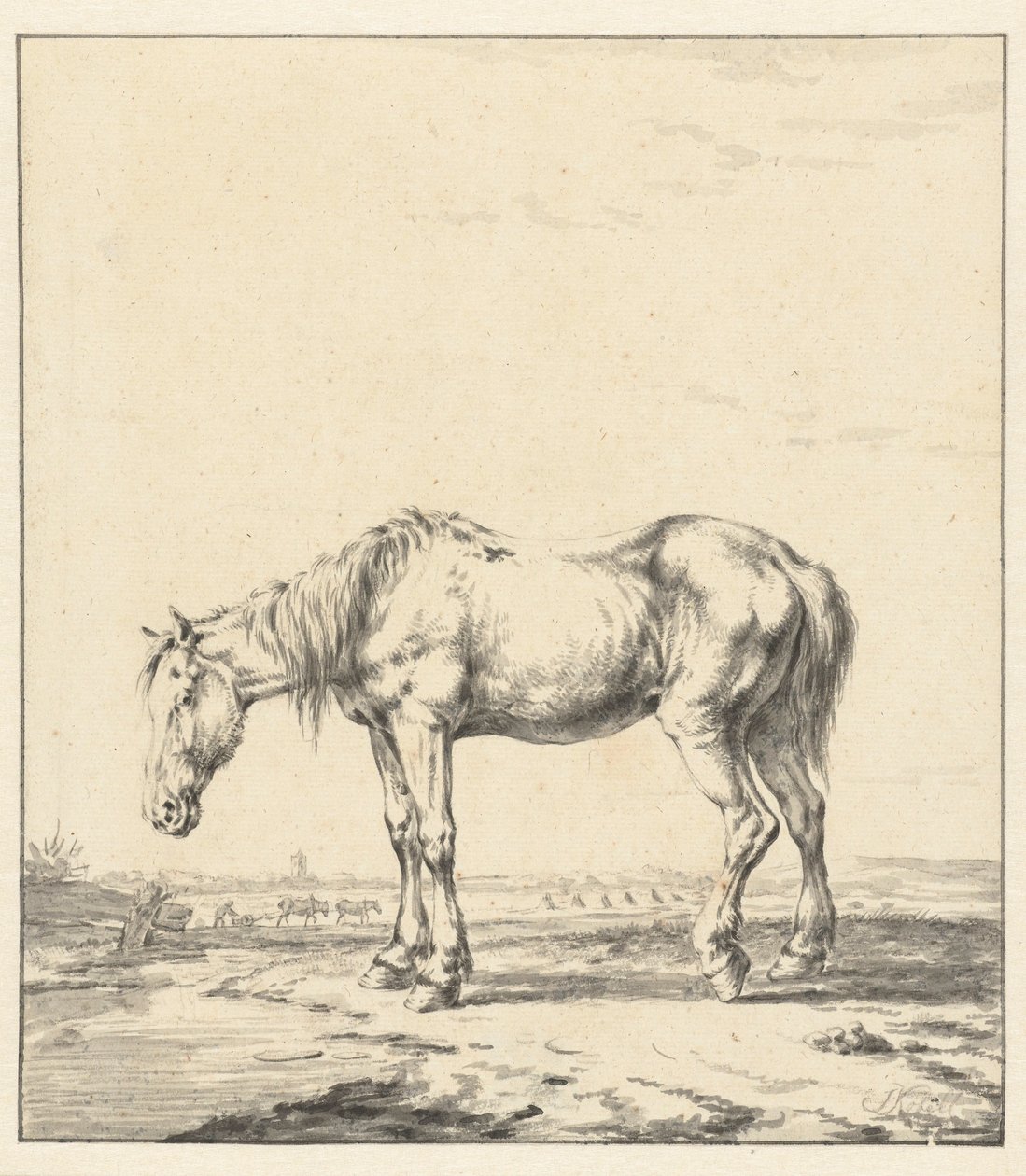 Vecchio cavallo in piedi vicino a un