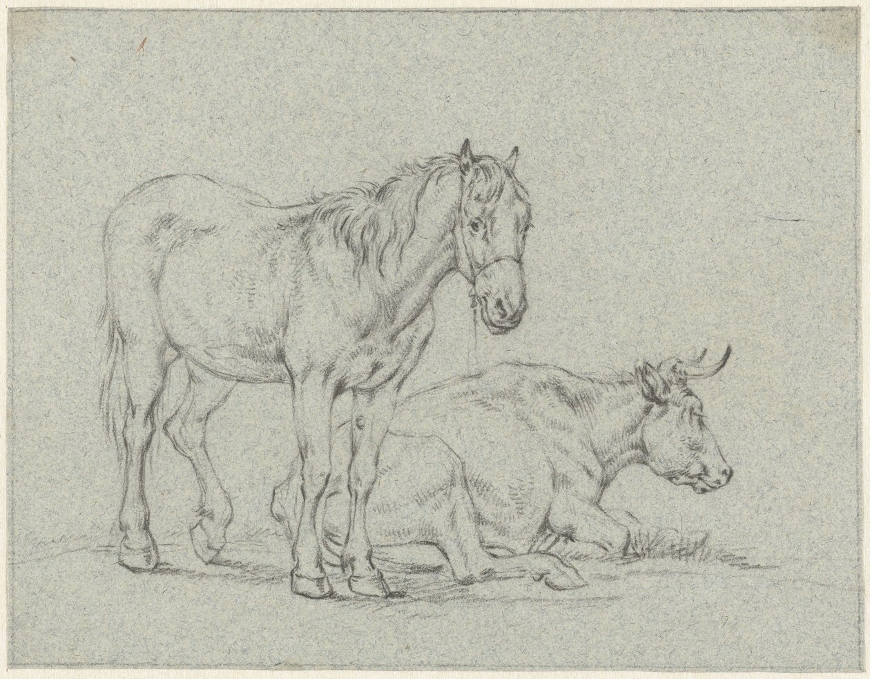 Cavallo in piedi e una mucca sdraiata da Jan Kobell (II)