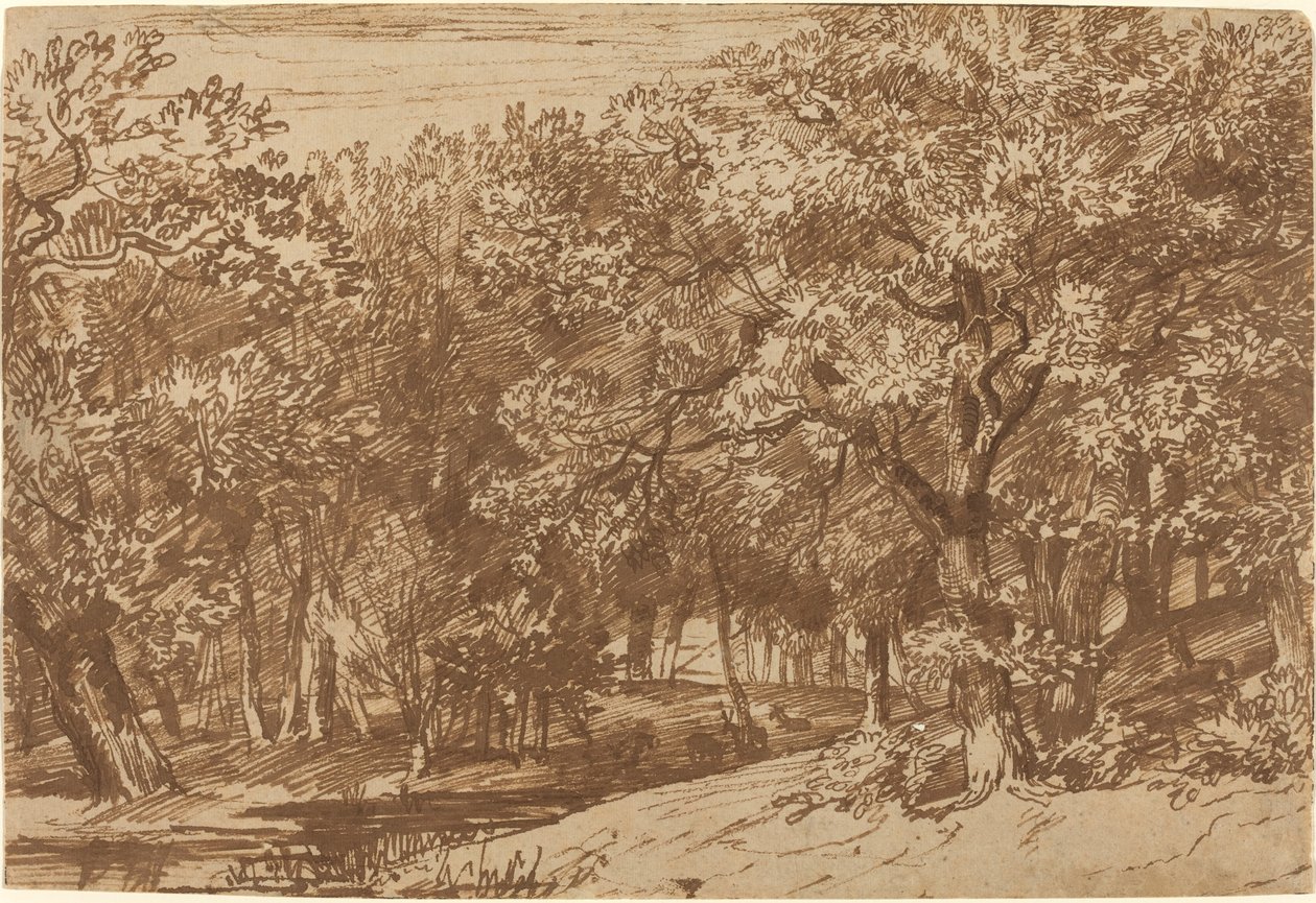 Parco dei cervi da Jan Lievens